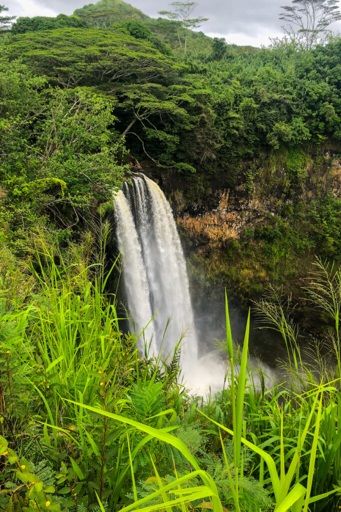 a rushing waterfall surrounded by greenery