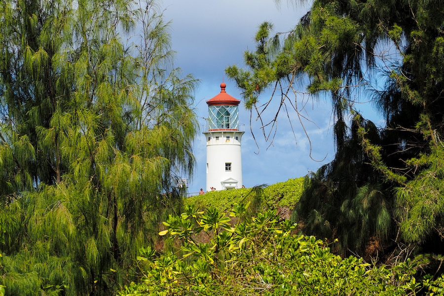 view of the Kilauea Lighthouse from the back of the gift shop, surrounded by trees