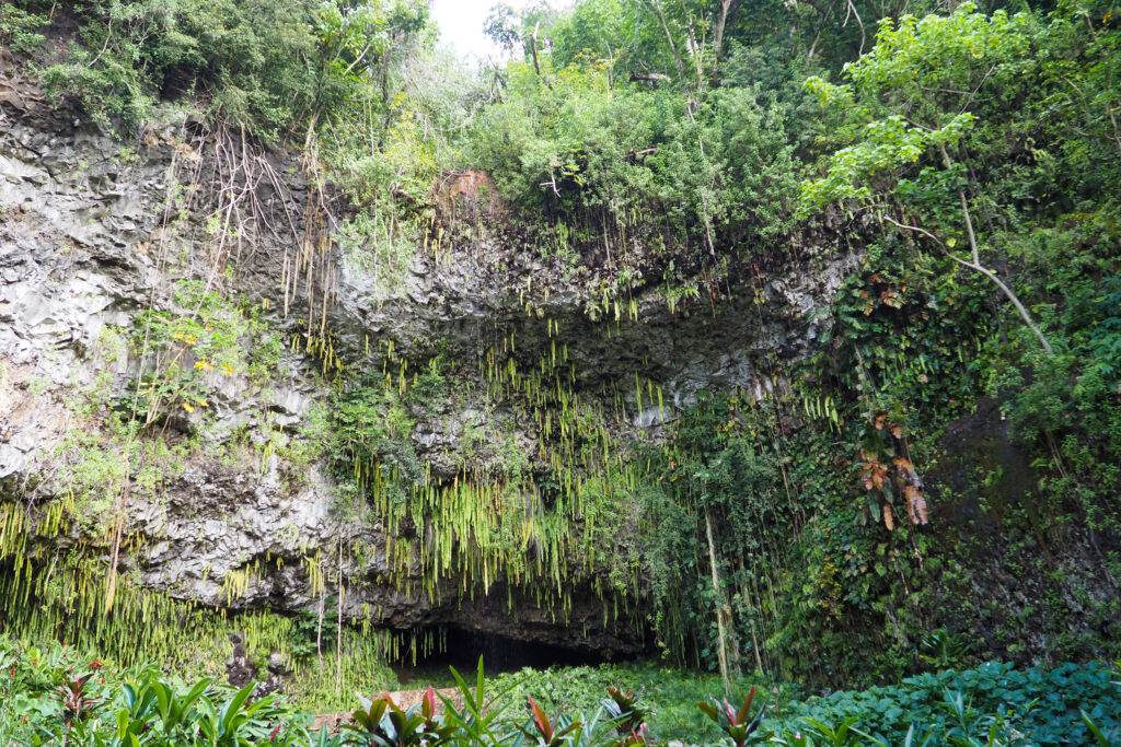 Fern Grotto in Kauai