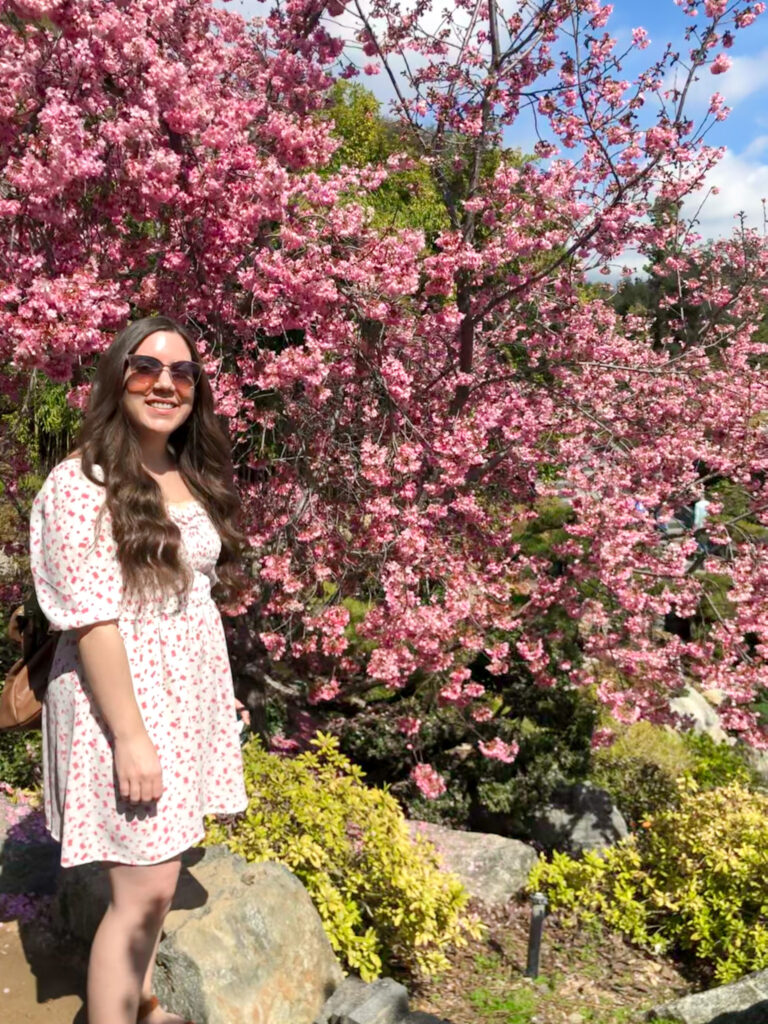 the author in front of pink cherry blossom trees at the Huntington
