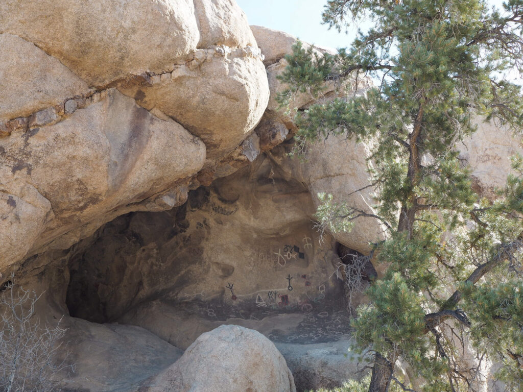 Petroglyphs at the Barker Dam Trail in Joshua Tree National Park