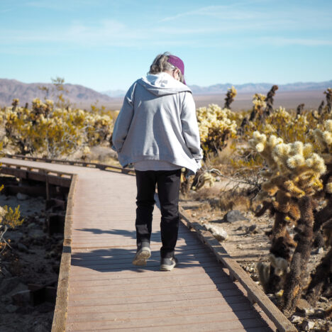 Exploring Bear Gulch Cave: One Day in Pinnacles National Park