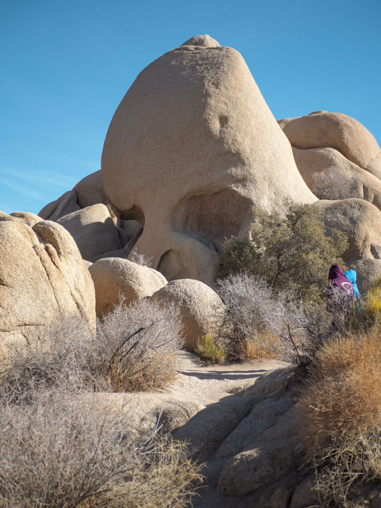 Skull Rock in Joshua Tree National Park