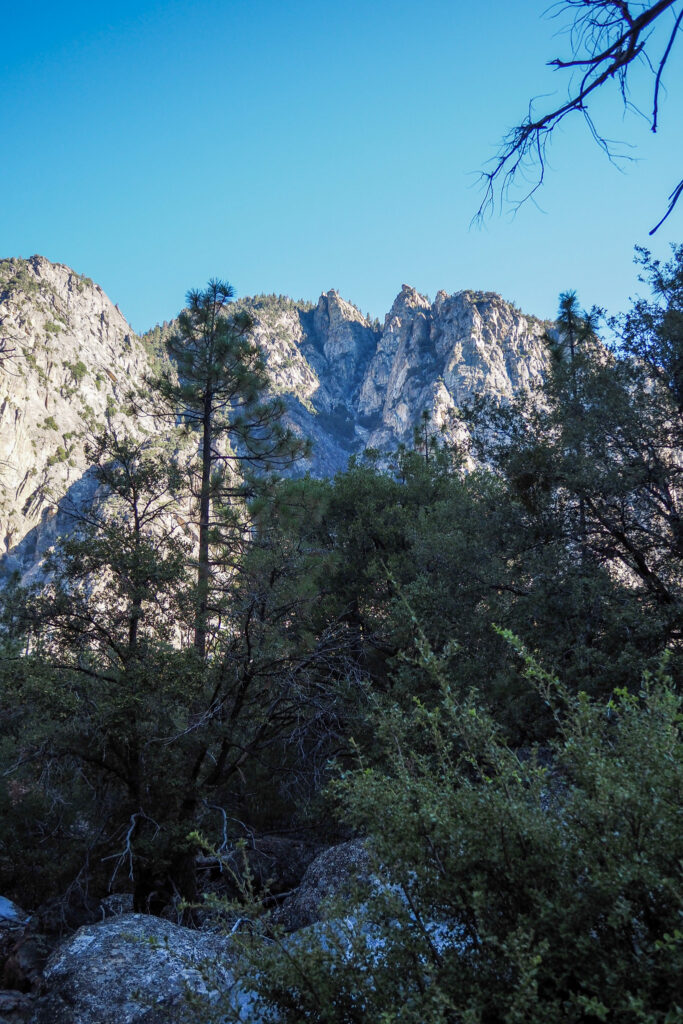 view of a canyon in Kings Canyon National Park