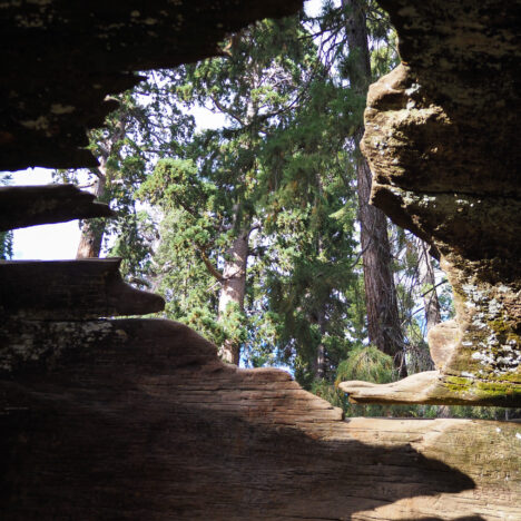 3 Day Itinerary for Sequoia and Kings Canyon National Parks