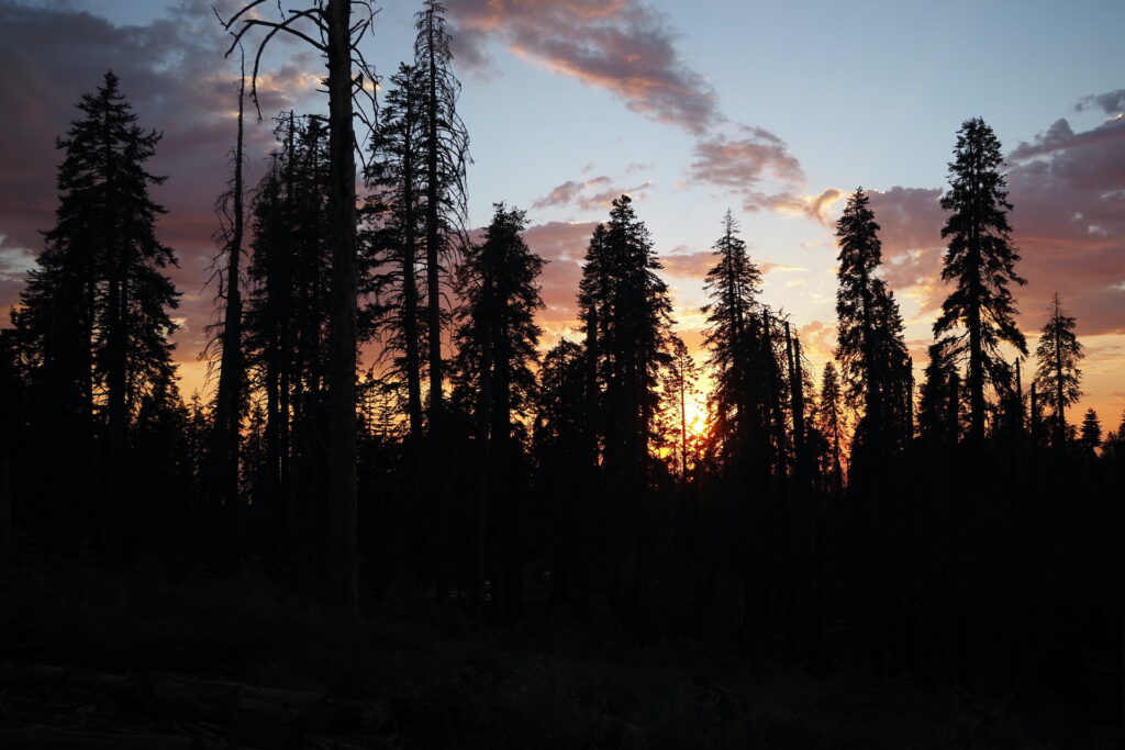 Sunset at Panoramic Point in Kings Canyon National Park