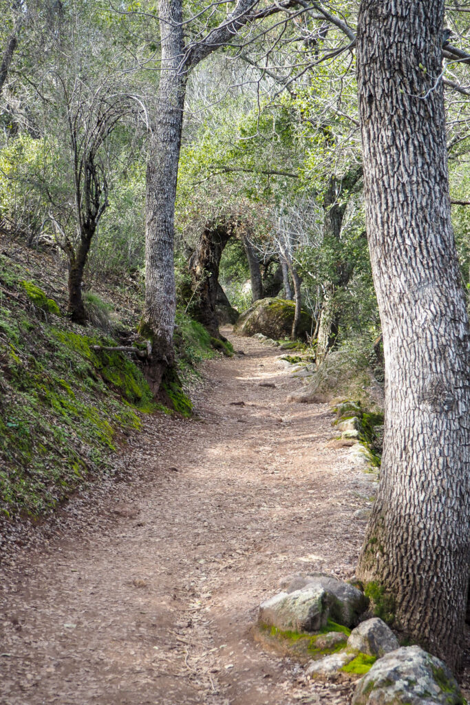 On the trail to Bear Gulch Reservoir in Pinnacles National Park