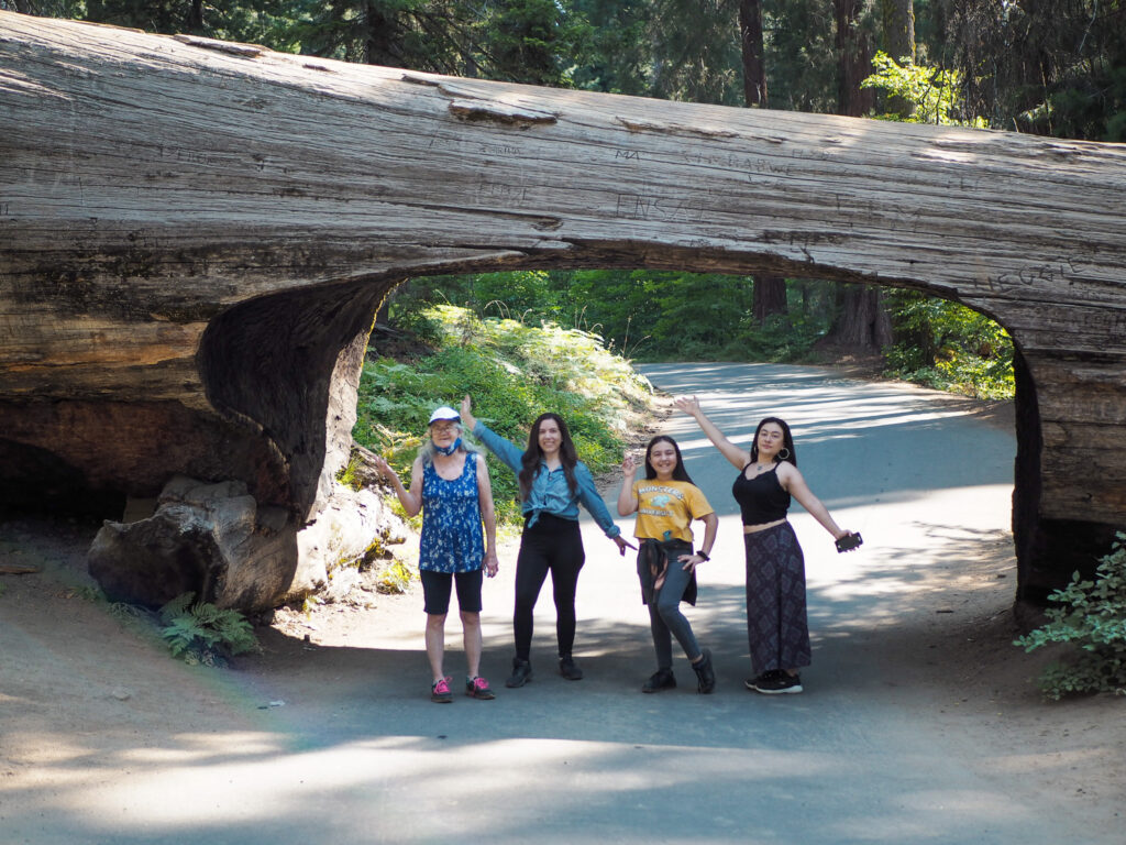 posing in tunnel log