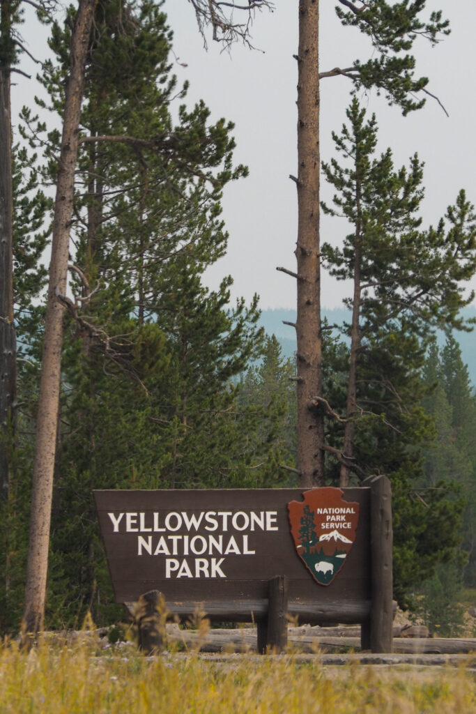 Sign for Yellowstone National Park surrounded by trees
