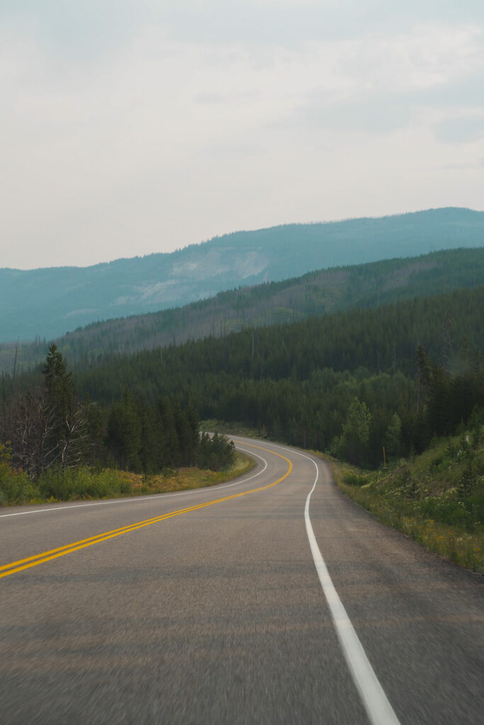 Road in Yellowstone National Park