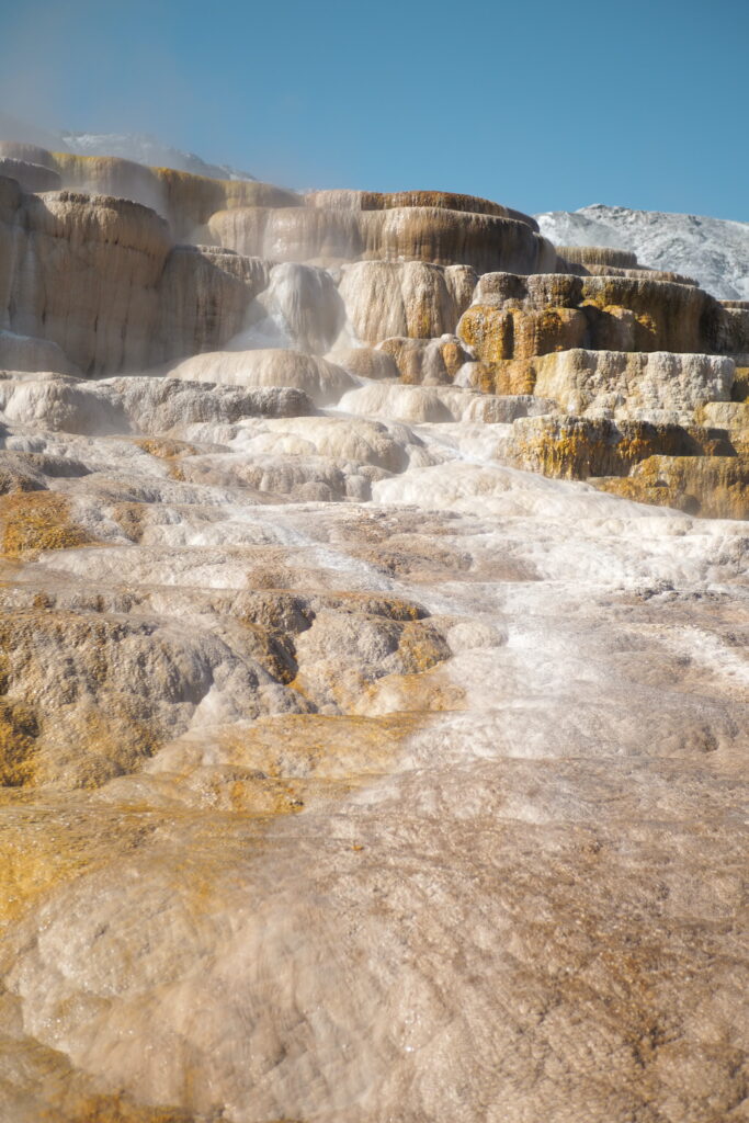 travertine terraces at Mammoth Hot Springs in Yellowstone National Park