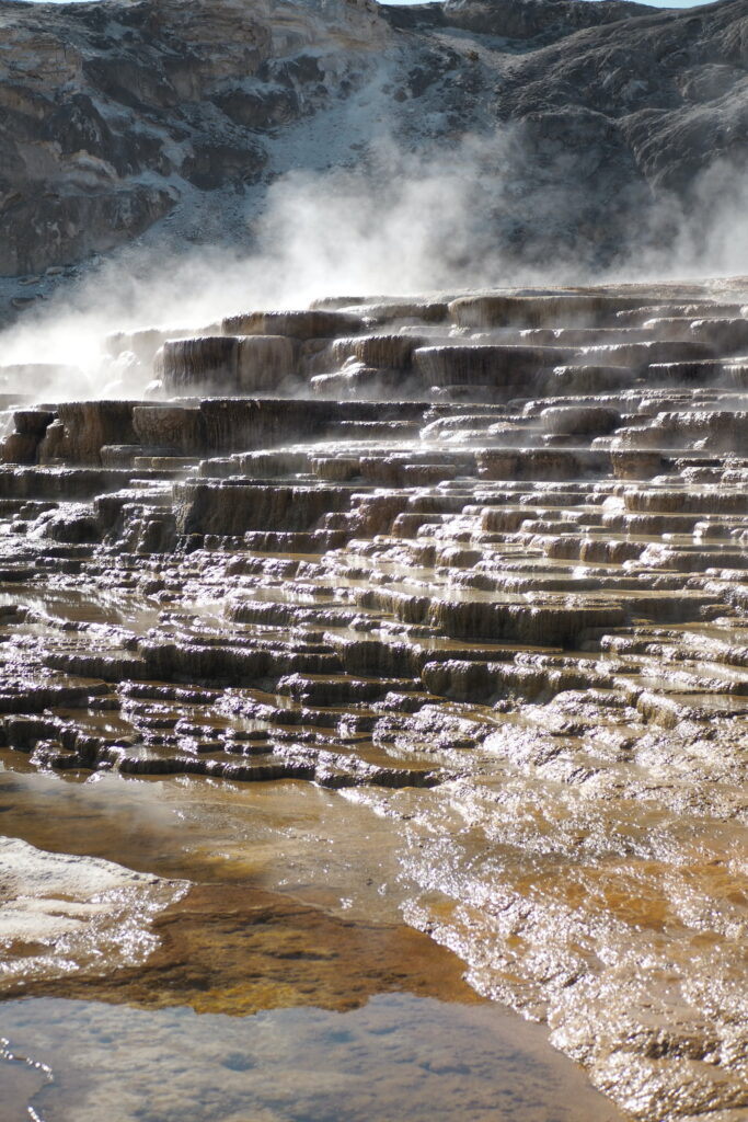 travertine terraces at Mammoth Hot Springs in Yellowstone National Park