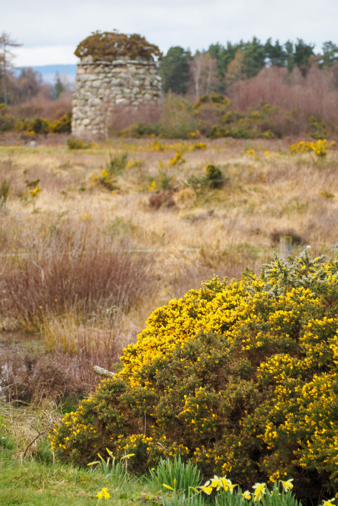 The Culloden Battlefield near Inverness, Scotland