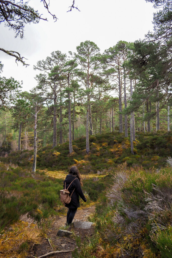 Author on the River Trail in Glen Affric near Inverness, Scotland