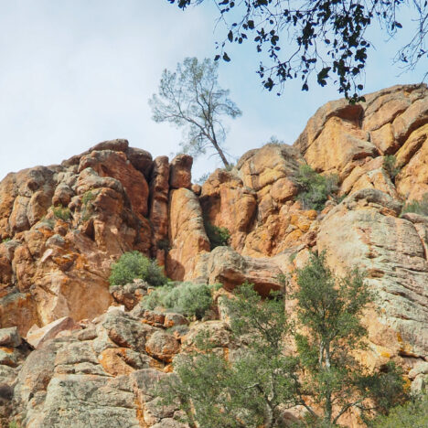 Why I Didn’t Like Joshua Tree National Park