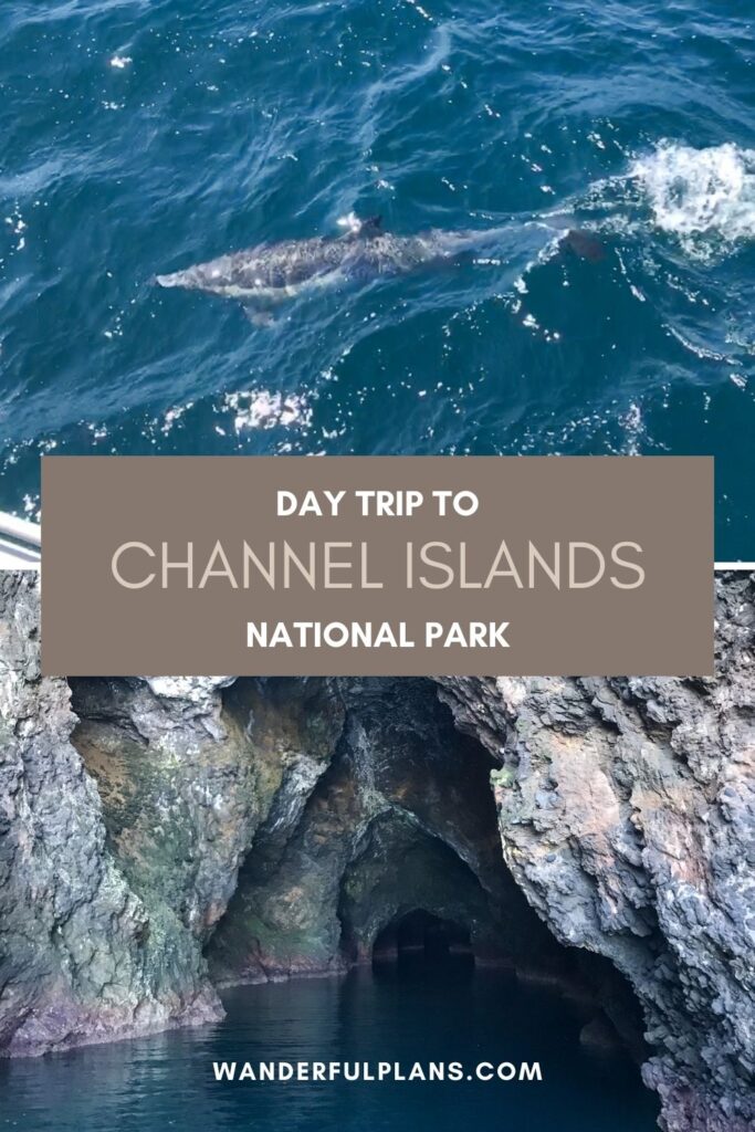 photos of channel islands with text that reads "day trip to channel islands national park"
