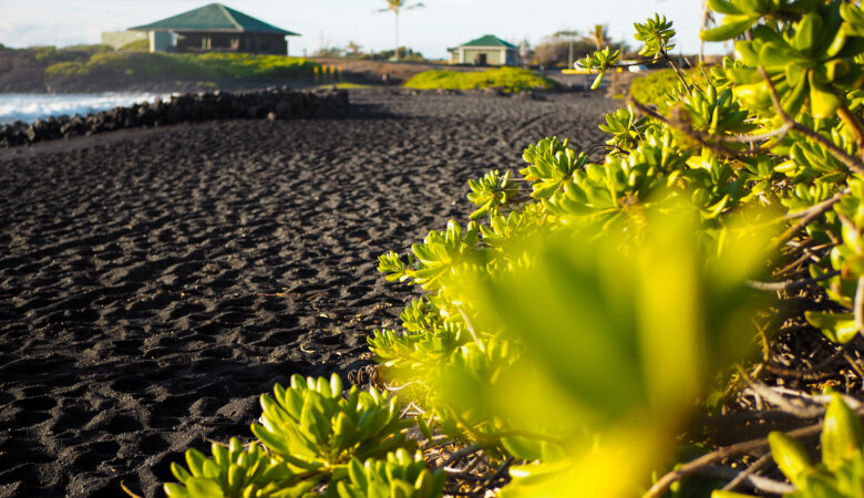 black sand beach in the big island of hawaii
