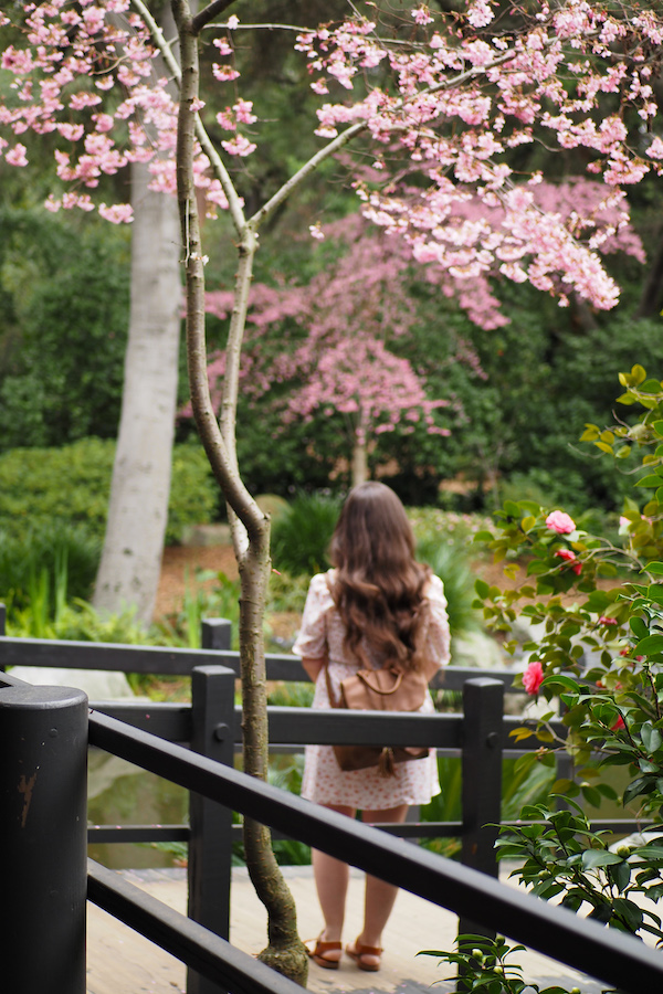 author standing under a cherry blossom tree in Descanso Garden