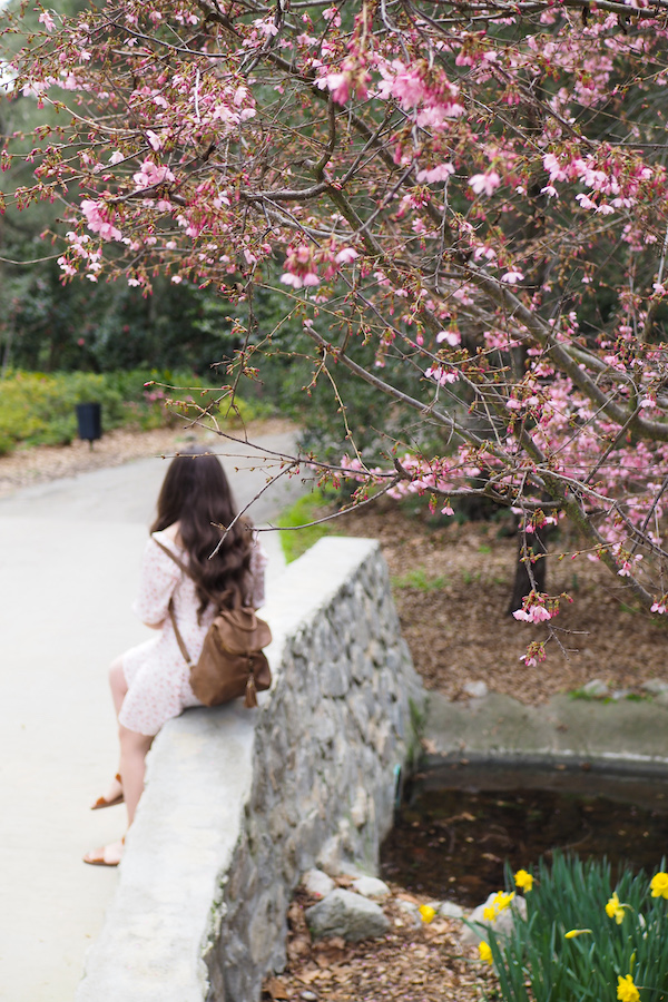 author sitting on a bridge near a Cherry blossom tree in the Promenade at Descanso