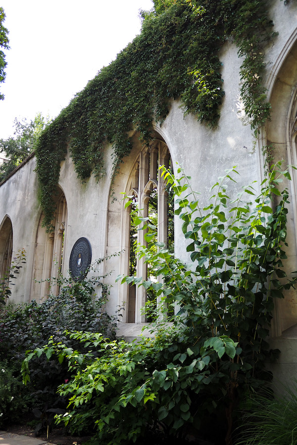plants growing on a ruin in St Dunstan-in-the-East in London