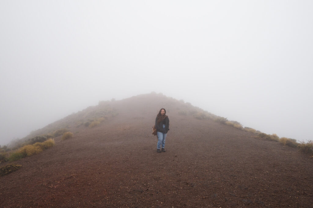 author at the foggy, cloudy dante's view