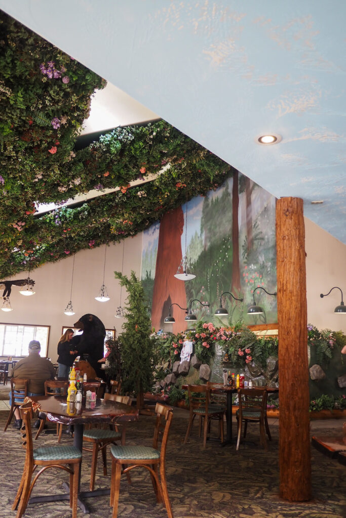 the interior of forest cafe in the redwoods