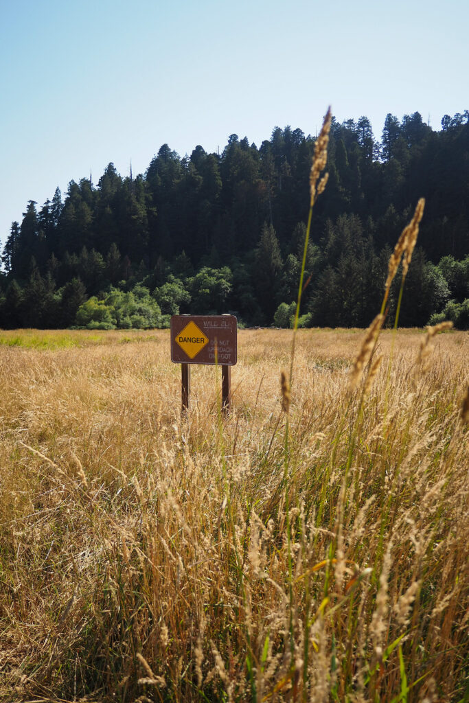 sign in a dry meadow that says "danger: wild elk: do not approach wildlife"