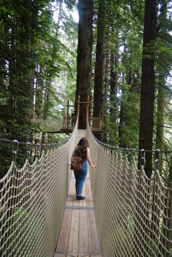 author standing in the middle of a rope bridge high in the redwood trees