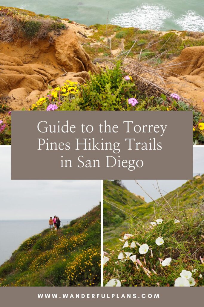 photos of torrey pines hiking trails with text that reads "guide to the Torrey Pines Hiking Trails in San Diego"