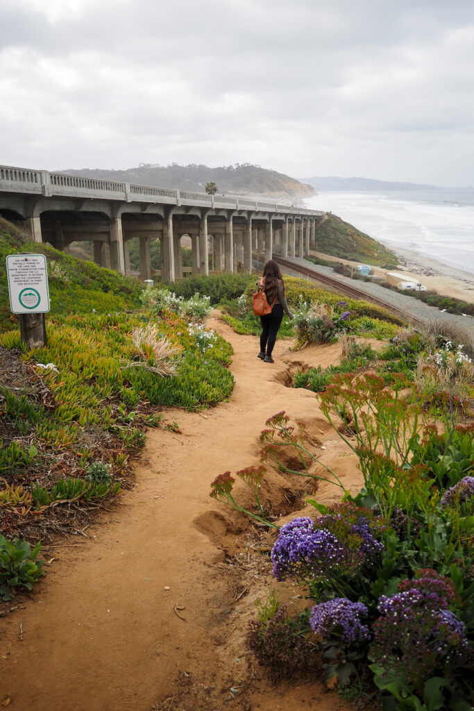 a girl standing on a small trail leading to a view of the bridge and train tracks 