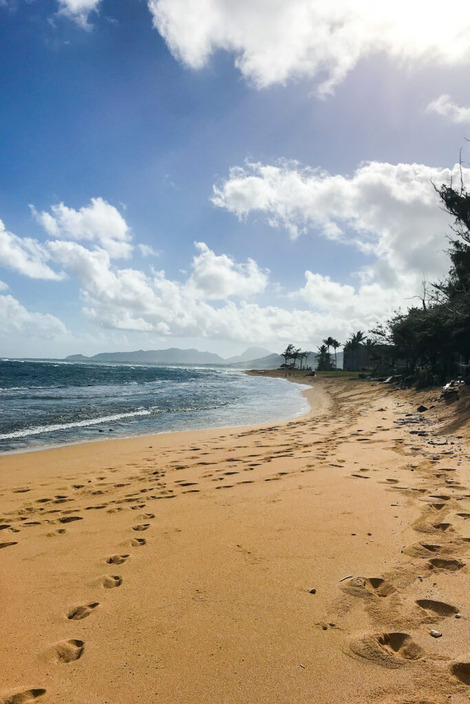 An empty beach with footprints in the sand and palm trees in the background