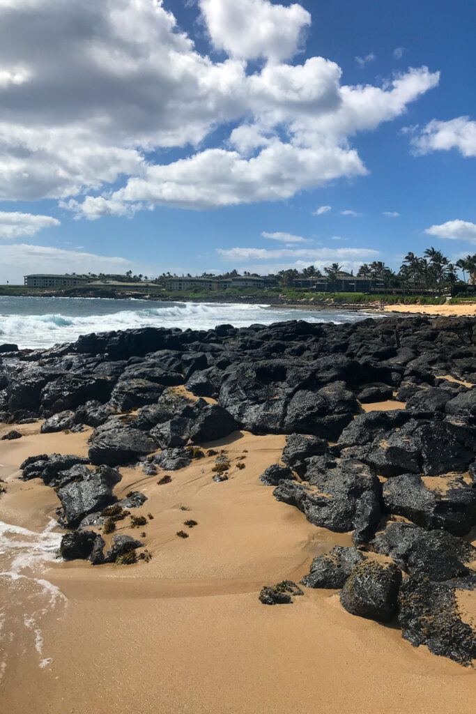 a beach covered in lava rock in kauai