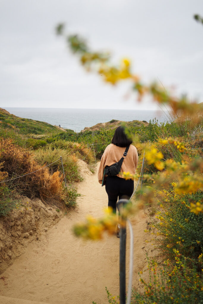 young woman walking along the Torrey Pines beach trail with wildflowers nearby