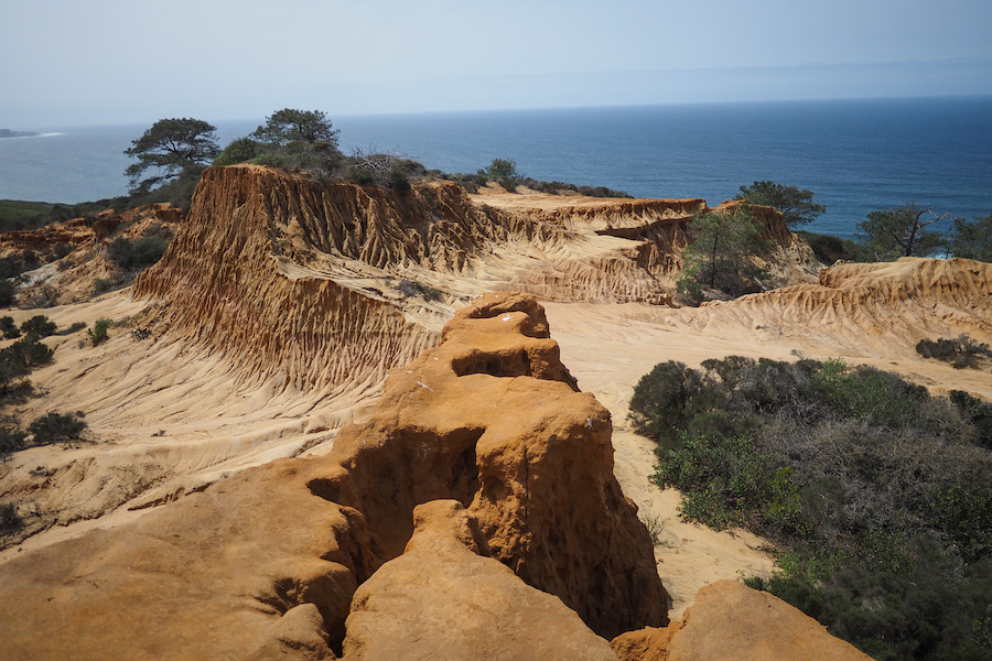 an overlook of sandstone cliffs by the ocean