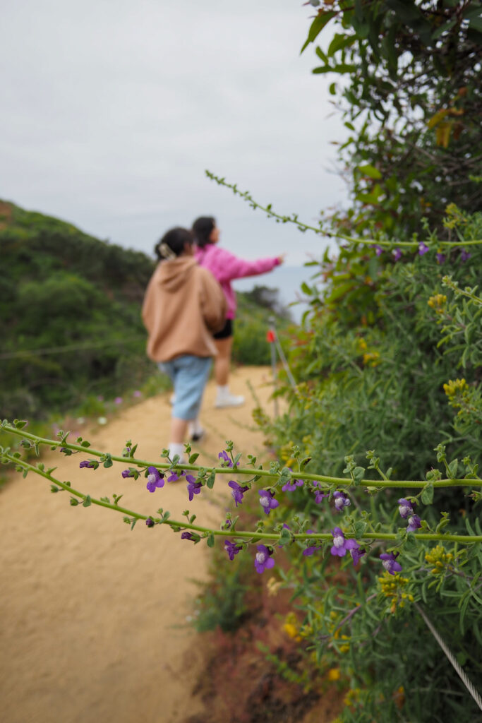 two people walking on the guy fleming trail with wildflowers nearby
