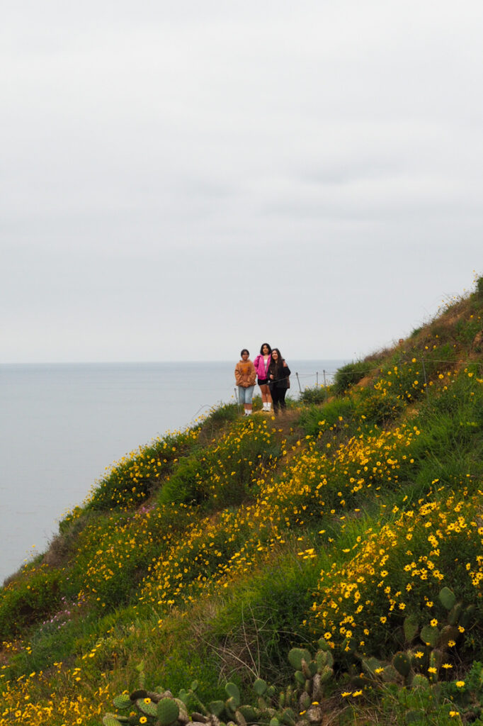 three people on the guy fleming trail, surrounded by wildflowers