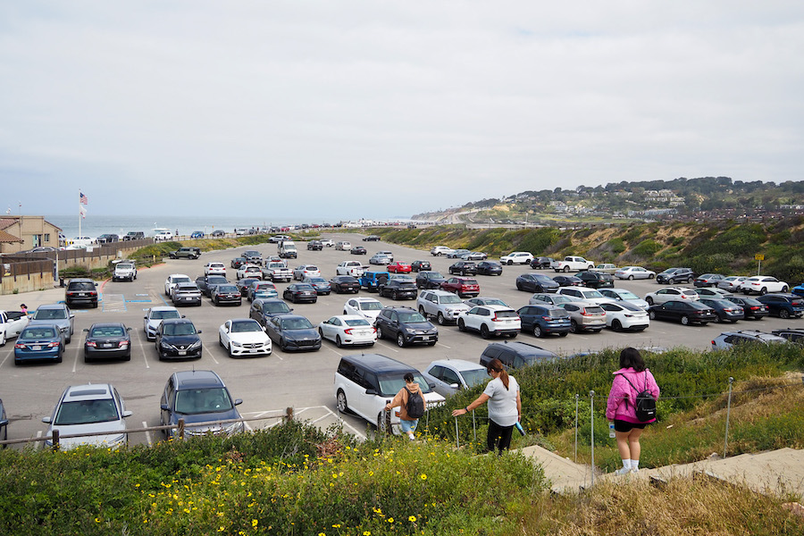 parking lot at torrey pines state natural reserve