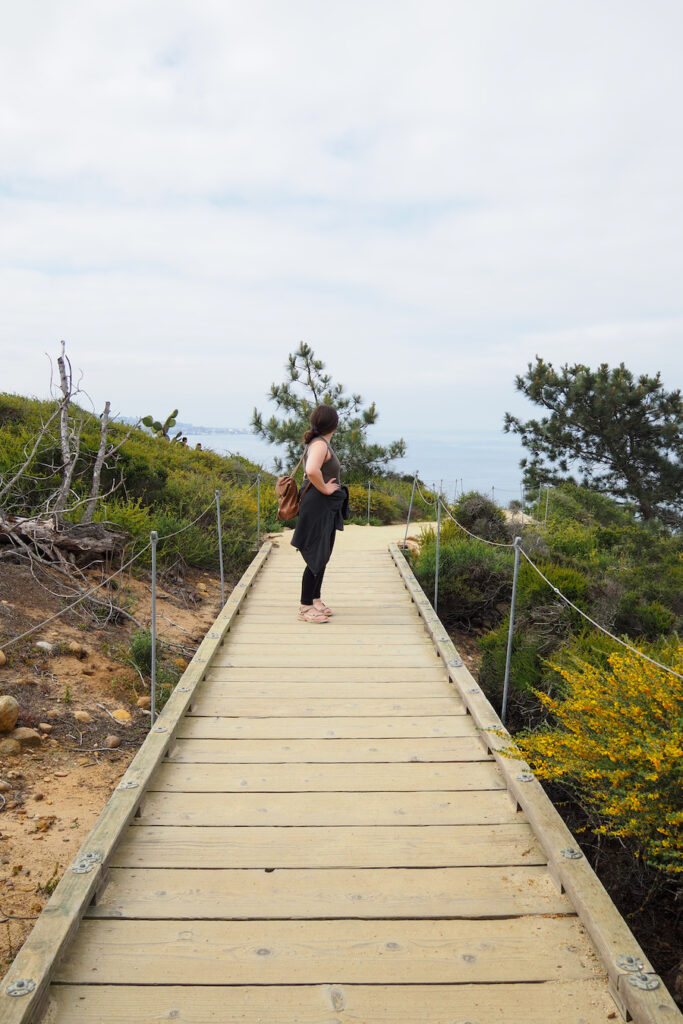 a boardwalk on the trail to EB Scribbs overlook