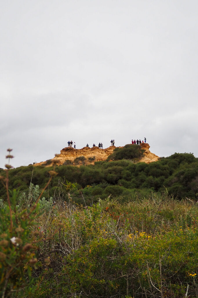people standing atop red butte at torrey pines
