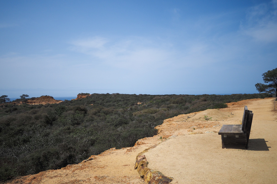 a bench next to a cliff with views of trees and the ocean and sandstone cliffs in the distance