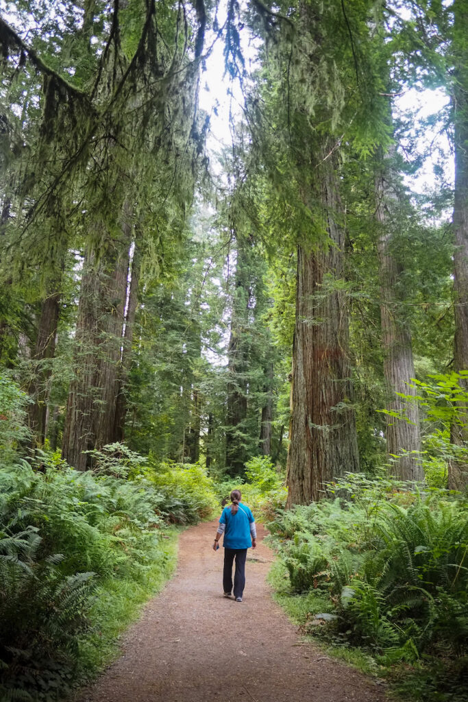author's mom standing on a trail with large trees all around