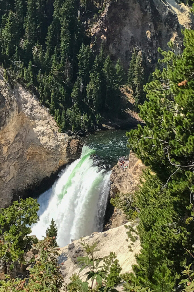 Waterfall at Grand Canyon of the Yellowstone in Yellowstone National Park