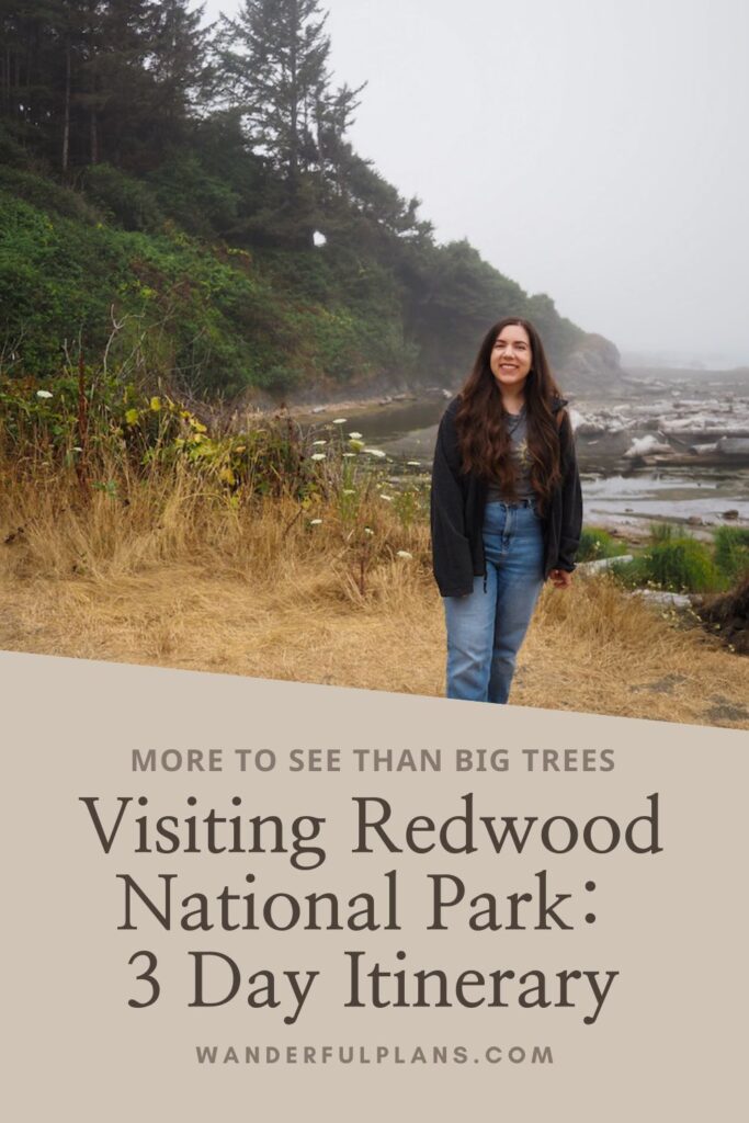 photo of author at yurok loop trail in the redwoods with text that reads "more to see than just trees: visiting redwood national park: 3 day itinerary"