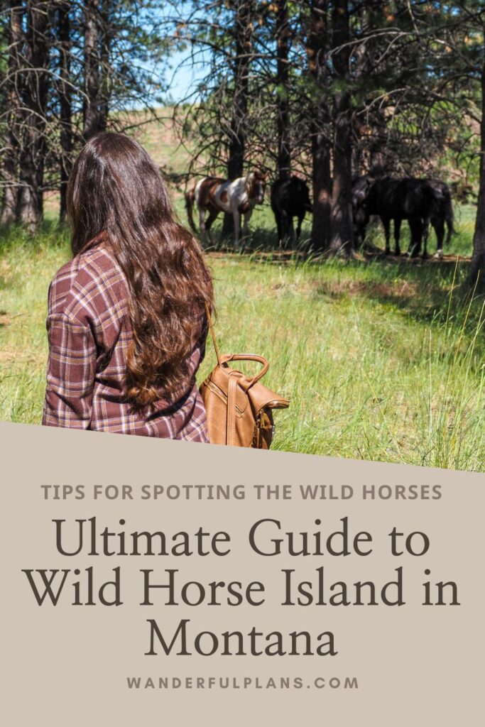 photo of Wild Horse Island Montana with text that reads "Ultimate Guide to Wild Horse Island in Montana"