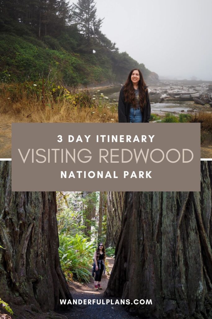 photos of redwood national park with text that reads "3 day itinerary visiting redwood national park"