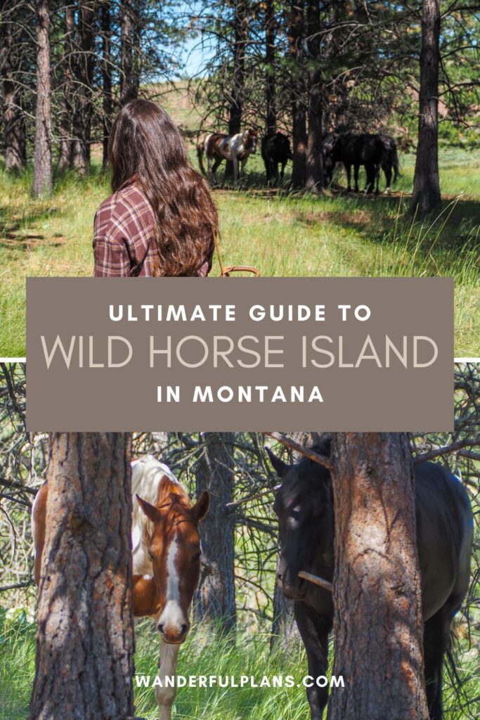 photos of Wild Horse Island Montana with text that reads "Ultimate Guide to Wild Horse Island in Montana"