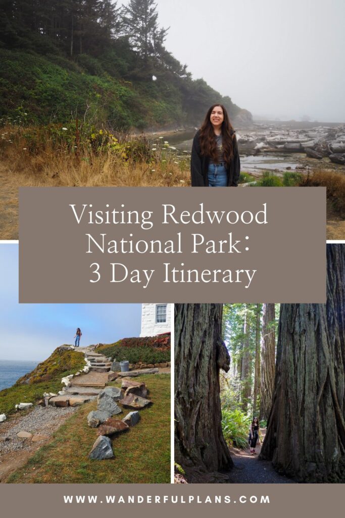 photos of author at redwood national park with text that reads "visiting redwood national park: 3 day itinerary"
