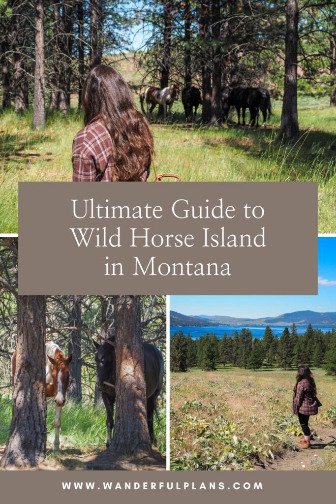 photos of Wild Horse Island Montana with text that reads "Ultimate Guide to Wild Horse Island in Montana"