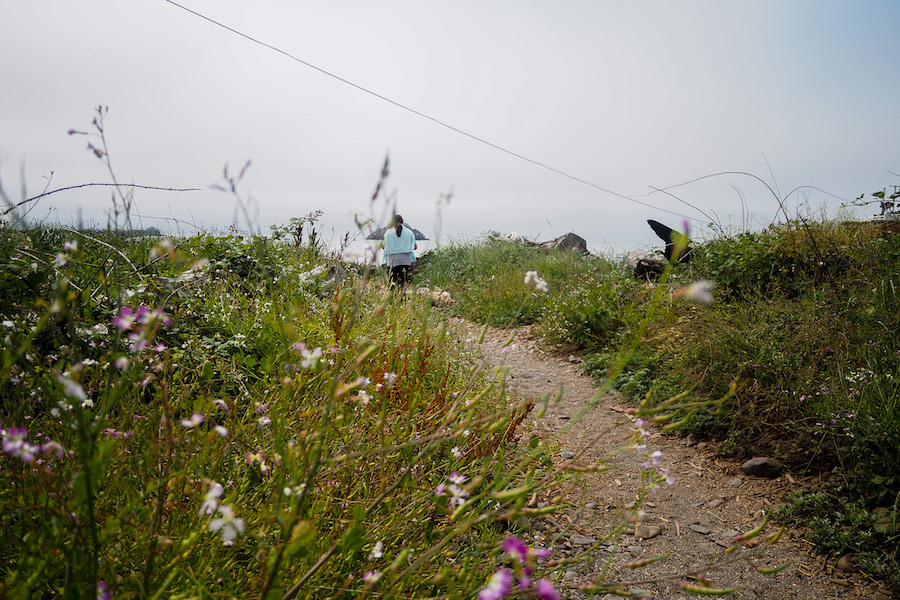 the back of a woman walking away toward the ocean on a dirt path surrounded by wildflowers