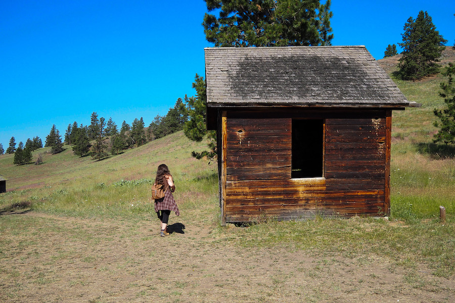 a small wooded house in Wild Horse Island Montana